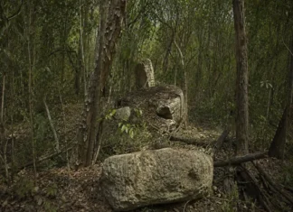 Descubren en Campeche ciudad maya de mil años de antigüedad Imagen de las ruinas de la ciudad maya de Minanbé, descubierta en Campeche