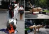 Presuntos integrantes de la CNTE derriban tres estatuas de futbolistas instaladas en Reforma La CNTE derriba estatuas de futbolistas en Reforma durante protestas en Ciudad de México