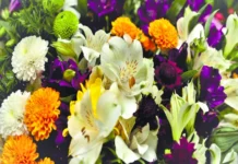 Flores mexiquenses abren paso a mercados internacionales Flores mexiquenses de alta calidad para exportación a mercados internacionales