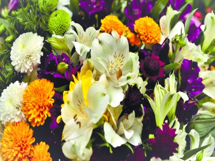 Flores mexiquenses de alta calidad para exportación a mercados internacionales
