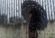 Las lluvias en lo que va del 2026 han sido 15% más intensas que el promedio de los últimos 30 años: investigador de la UNAM Lluvias en México han sido un 15% más intensas que el promedio
