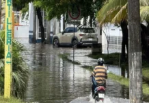 Lluvias intensas en Veracruz provocan inundaciones y deslizamientos; emergencia en Alvarado y Magdalena Lluvias intensas en Veracruz provocan inundaciones y deslizamientos