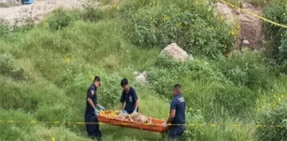 Identifican a mujer hallada sin vida en Reynosa; era originaria de Veracruz Mujer de Veracruz hallada sin vida en un canal de Reynosa