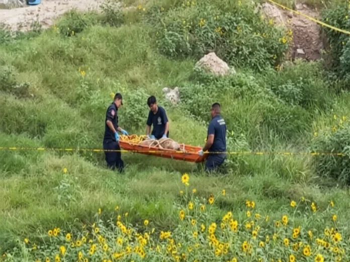 Mujer de Veracruz hallada sin vida en un canal de Reynosa