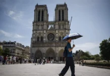 Excavación en Notre Dame revela 2 mil años de historia en París Excavación en Notre Dame revela 2 mil años de historia en París