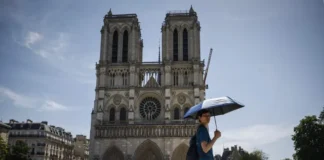 Excavación en Notre Dame revela 2 mil años de historia en París Excavación en Notre Dame revela 2 mil años de historia en París