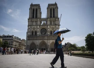 Excavación en Notre Dame revela 2 mil años de historia en París Excavación en Notre Dame revela 2 mil años de historia en París