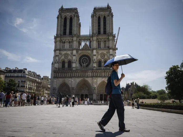 Excavación en Notre Dame revela 2 mil años de historia en París