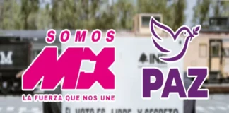 Somos México y PAZ: Ideología y propuestas de los nuevos partidos políticos que alcanzaron registro del INE Somos México y PAZ, partidos políticos aprobados por el INE en México