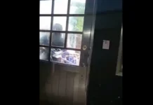 Urgen a reforzar operativos de búsqueda de Roxana Guzmán, periodista de Veracruz Periodista desaparecida en Veracruz, Roxana Guzmán, durante un operativo de búsqueda