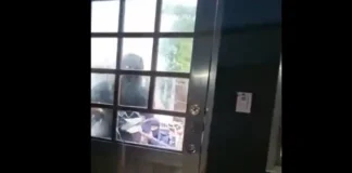 Urgen a reforzar operativos de búsqueda de Roxana Guzmán, periodista de Veracruz Periodista desaparecida en Veracruz, Roxana Guzmán, durante un operativo de búsqueda