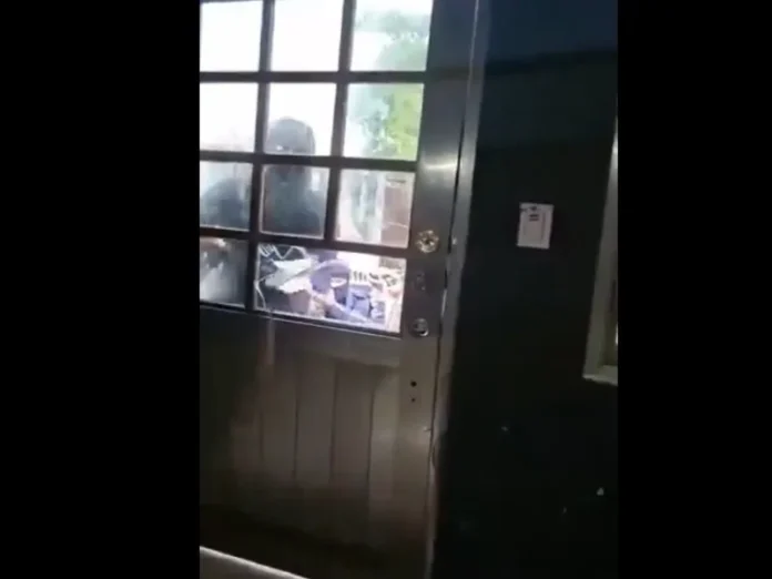 Periodista desaparecida en Veracruz, Roxana Guzmán, durante un operativo de búsqueda