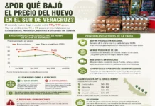 Se desploma el precio del huevo; de cien pesos pasó a cincuenta Precio del huevo en Veracruz cae a la mitad en 2026