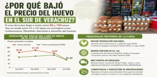 Se desploma el precio del huevo; de cien pesos pasó a cincuenta Precio del huevo en Veracruz cae a la mitad en 2026