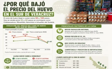 Se desploma el precio del huevo; de cien pesos pasó a cincuenta Precio del huevo en Veracruz cae a la mitad en 2026