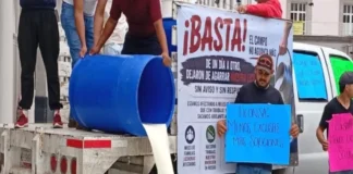 Ganaderos llevan vacas y derraman leche frente al Palacio de Gobierno en Veracruz en protesta contra Nahle y Bienestar Ganaderos derraman leche en la calle en protesta por la suspensión de Leche para el Bienestar