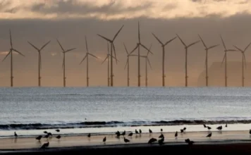 El gobierno de Reino Unido fija meta de recortar 87% emisiones de carbono para 2042 Gráfico que muestra la reducción de emisiones de carbono en el Reino Unido para 2042