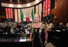 Privan de la libertad a dos inspectores de Baja California; uno de ellos es hijo de la diputada de Morena, Rocío López Secuestro de inspectores de Baja California, uno de ellos es hijo de diputada de Morena