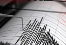 Se registra sismo con epicentro en Guerrero; alarma sísmica no se activa Sismo en Guerrero de magnitud 5.2 sin alerta sísmica en Ciudad de México