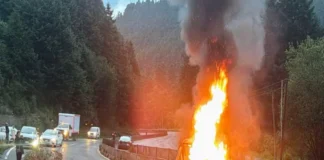 ‘Chamuscan’ camionetas de talamontes en La Marquesa: Pobladores de Ocoyoacac cierran carretera a Toluca Pobladores de Ocoyoacac incendian camionetas de talamontes por tala ilegal