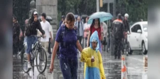 Suspenden las clases en 130 municipios de Puebla por el paso de la tormenta tropical “Boris” La tormenta tropical Boris causa daños en la costa del Pacífico