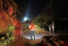 Poblaciones en el centro y sur de Veracruz, incomunicadas por deslaves y afectaciones de «Boris» Tormenta tropical Boris causa deslaves en Veracruz México