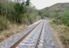 Tren Interoceánico: Sheinbaum anuncia cambio de trazo en lugar donde fue descarrilamiento Tren Interoceánico en zona de descarrilamiento en Veracruz