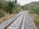 Tren Interoceánico: Sheinbaum anuncia cambio de trazo en lugar donde fue descarrilamiento Tren Interoceánico en zona de descarrilamiento en Veracruz