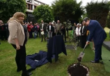 UNAM celebra 475 años con la siembra de 475 ahuehuetes en sus FES UNAM 475 años de fundación con siembra de ahuehuetes