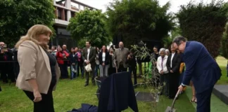 UNAM celebra 475 años con la siembra de 475 ahuehuetes en sus FES UNAM 475 años de fundación con siembra de ahuehuetes