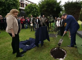 UNAM celebra 475 años con la siembra de 475 ahuehuetes en sus FES UNAM 475 años de fundación con siembra de ahuehuetes