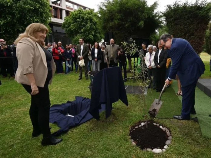 Rector de la UNAM siembra ahuehuete en FES Iztacala UNAM 475 años de fundación con siembra de ahuehuetes