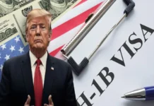 Revés para Trump: Juez anula tarifa de 100 mil dólares impuestas por EU para las visas de trabajo H-1B Visas H-1B para trabajo en EEUU anuladas por juez