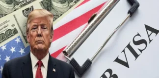 Revés para Trump: Juez anula tarifa de 100 mil dólares impuestas por EU para las visas de trabajo H-1B Visas H-1B para trabajo en EEUU anuladas por juez