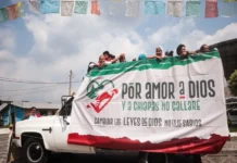 Entrenan modelo de IA para abatir contrabando Combate al contrabando en aduanas con tecnología de imágenes de alta tecnología