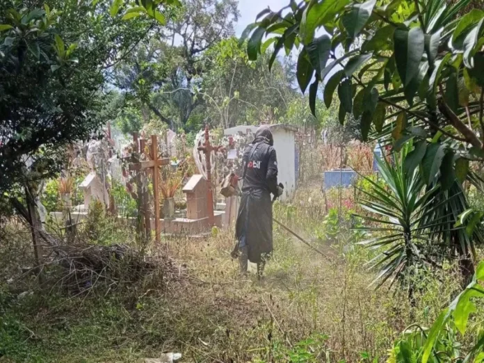 Un enjambre de abejas ataca a personas en un sepelio en Veracruz, causando lesiones a decenas de personas en el ataque de abejas