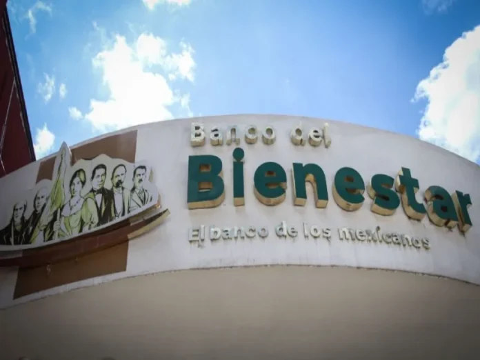 Becarios del programa Jóvenes Construyendo el Futuro en Veracruz Becarios del programa Jóvenes Construyendo el Futuro reclaman pagos atrasados en Veracruz
