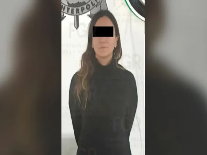 Detención de Gilda 'N' en el AICM Gilda 'N', hermana de Emilio Lozoya, detenida por triangulación de recursos ilícitos en México