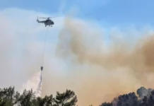 Incendios forestales en Europa: mueren tres bomberos mueren en Grecia mientras España considera que la emergencia se «estabilizó» Incendios forestales en Europa: imagen de un incendio en Grecia