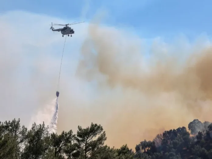 Incendios forestales en Europa: imagen de un incendio en Grecia