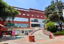 Detectan en el Hospital Infantil alza en la presencia de bacterias Infecciones hospitalarias en el Hospital Infantil de México por falta de insumos básicos