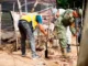 Continúan acciones de apoyo a la población de Isla tras inundaciones Inundaciones en Isla Veracruz afectan a la población local