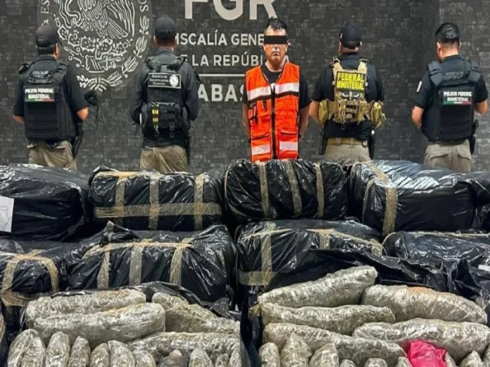 Más de una tonelada de marihuana en Tabasco asegurada por elementos de seguridad