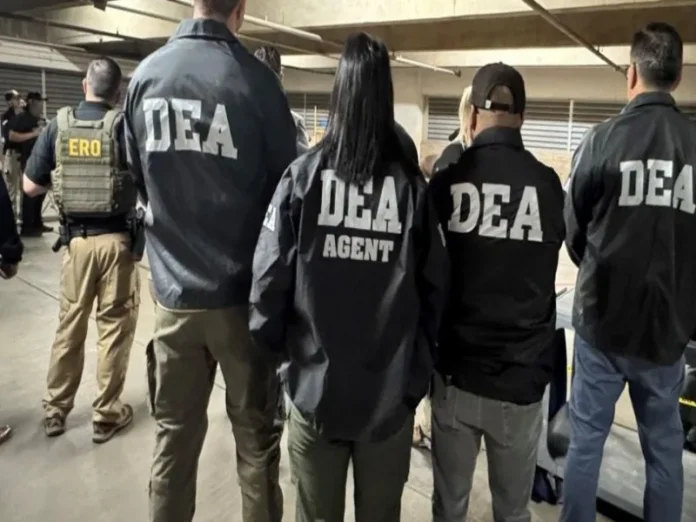 Conexión entre cárteles y gobierno mexicano La DEA denuncia la conexión mortal entre cárteles y gobierno mexicano