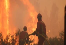 Advierten por nueva ola de calor en Francia en medio de lucha contra numerosos incendios Incendios en Francia durante la ola de calor con temperaturas extremas