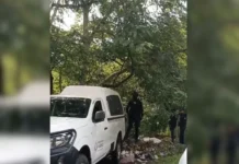 Hallan bolsas con restos humanos en la carretera Orizaba-Puebla Restos humanos encontrados en carretera Orizaba Puebla en Veracruz