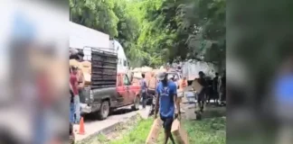 Saquean toneladas de carne de tráiler volcado en carretera de Veracruz Saqueo de carne de tráiler volcado en carretera de Veracruz, saqueo de carne