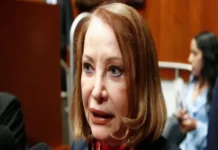 «Sí fue mi asesor, pero caras vemos, corazones no sabemos»: dice Laura Itzel Castillo tras golpiza de exdirector de Pemex a su esposa Mujeres marchando contra la violencia de género en México, con carteles que dicen no a la violencia de género