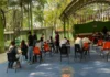 Acusan actos de violencia en contra de estudiantes de nuevo ingreso en la Escuela Normal Rural Mactumatzá, de Chiapas Estudiantes y padres denuncian violencia en escuelas contra alumnos de nuevo ingreso