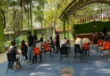 Acusan actos de violencia en contra de estudiantes de nuevo ingreso en la Escuela Normal Rural Mactumatzá, de Chiapas Estudiantes y padres denuncian violencia en escuelas contra alumnos de nuevo ingreso